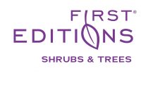 First Editions®