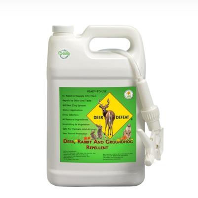 Deer Defeat Ready to Use 