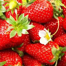 Fruit - Strawberry - World's L 