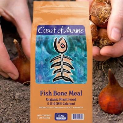 Coast of Maine Fish Bone Meal 