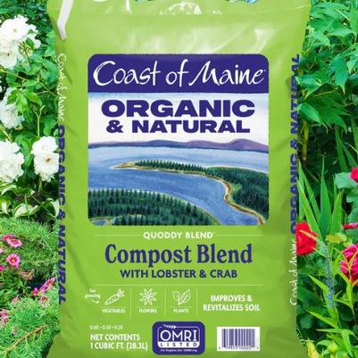 Coast of Maine Quoddy - Lobste 