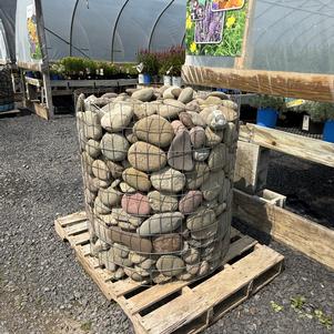 Hardscaping - NY Skippers