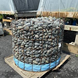Hardscaping - Mexican Beach Pebbels