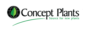 Concept Plants Concept Plants